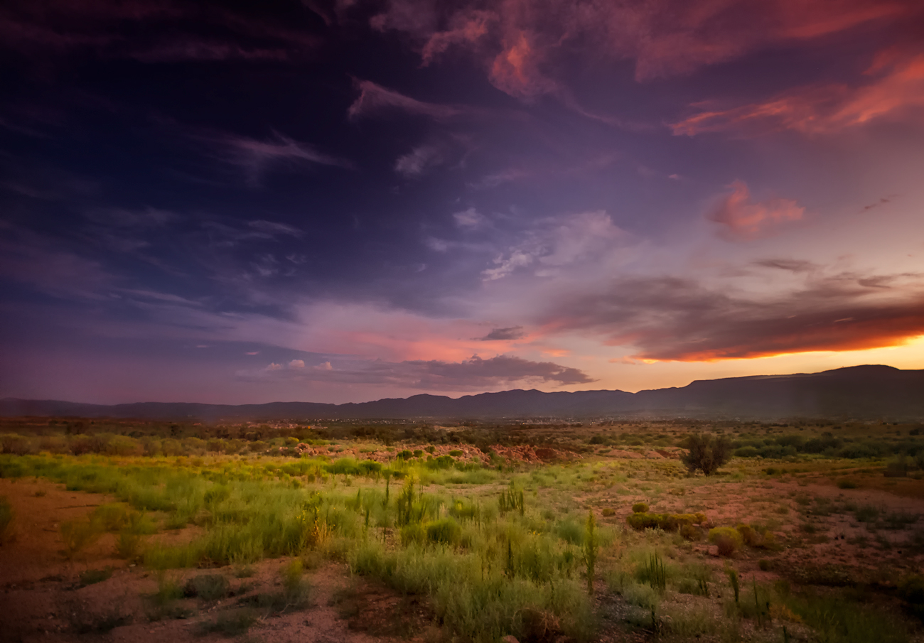 Concho Cowboy's back yard